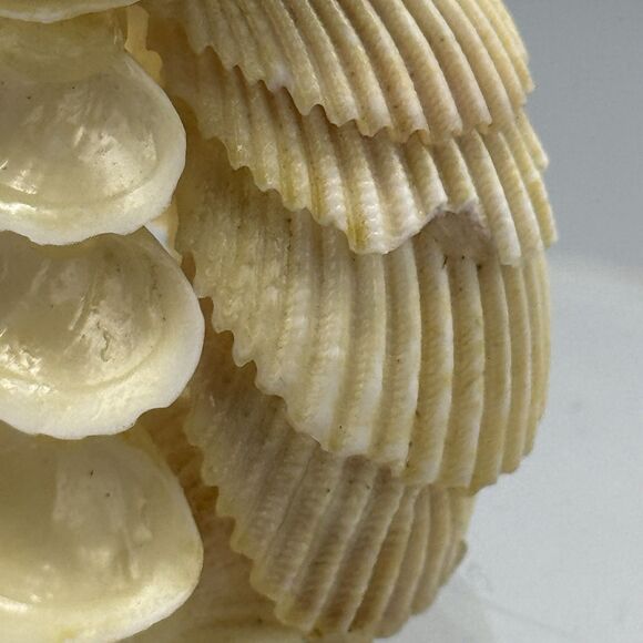 Handmade Seashell Art Figurine Bride Doll Folk Art Flower Girl Nautical Kitschy - Picture 2 of 10